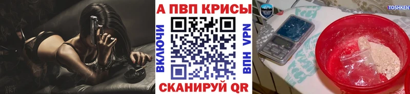 A PVP СК КРИС  Краснодар 