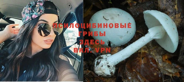 молекула духа Заволжск