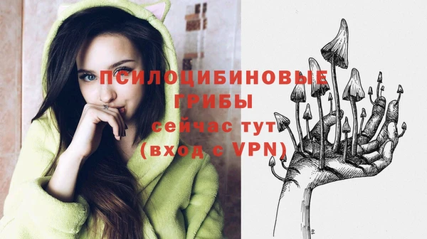 молекула духа Заволжск