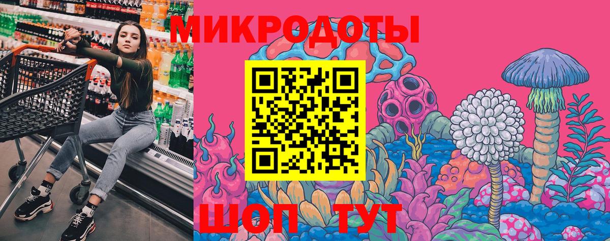 Псилоцибиновые грибы прущие грибы Россия