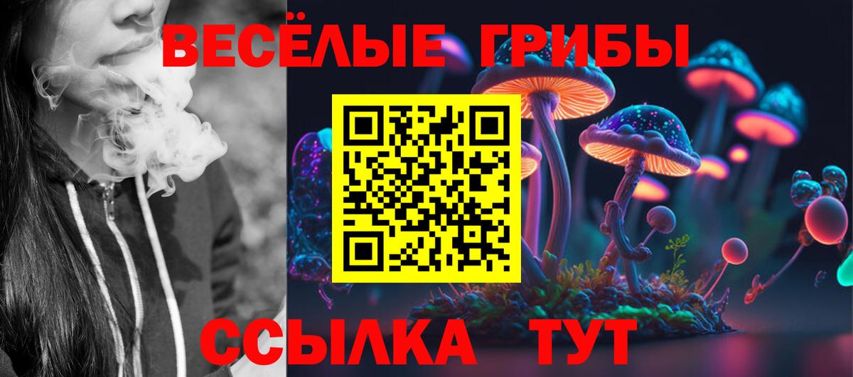 Россия  Псилоцибиновые грибы мухоморы  купить закладку  Галлюциногенные грибы Psilocybe  Вход с VPN 