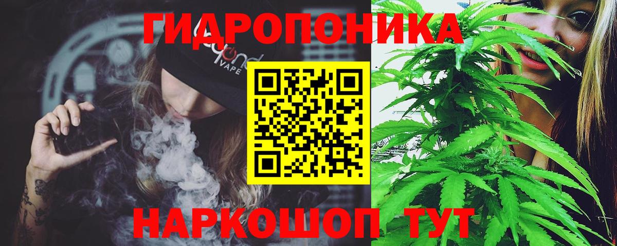 Конопля ГИДРОПОН  Конопля семена  Вход с VPN  Россия 